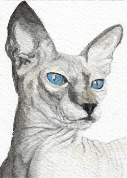 ACEO - ATC Sphynx Cat PRINT of my Original Watercolor ...